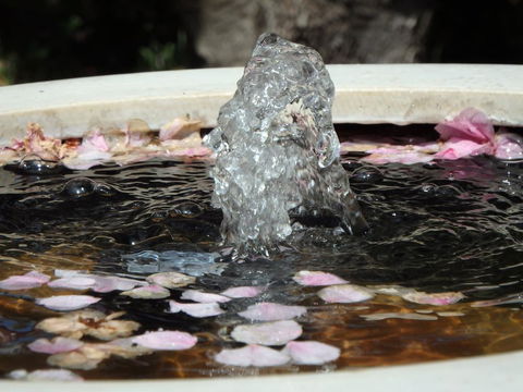 Bowral Road Bed And Breakfast - Tweed Heads Accommodation 2