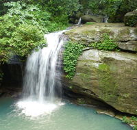 Buderim Forest Hideaway - Tweed Heads Accommodation