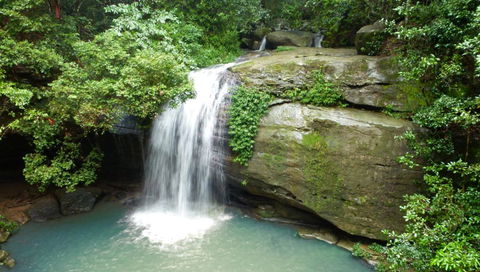 Buderim Forest Hideaway - Tweed Heads Accommodation 0