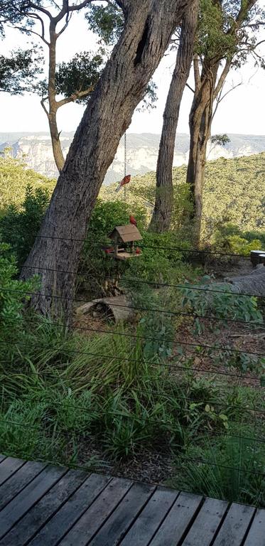 Canyon Cottage - Tweed Heads Accommodation 3