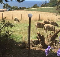 Cape View B and B - Tweed Heads Accommodation