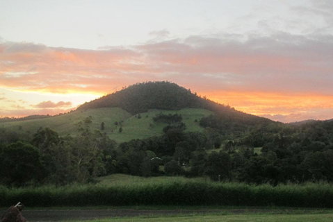 CBR Equine Cottage - Tweed Heads Accommodation 1
