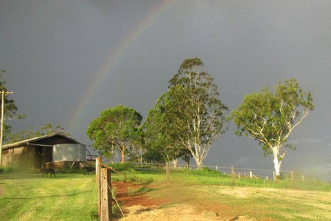 CBR Equine Cottage - Tweed Heads Accommodation 0