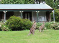 Book Mount Victoria Accommodation Vacations Tweed Heads Accommodation Tweed Heads Accommodation