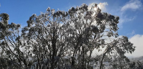 Cedarwood Apartments - Tweed Heads Accommodation 1