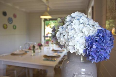Cherry Cottage - Leura - Tweed Heads Accommodation 1