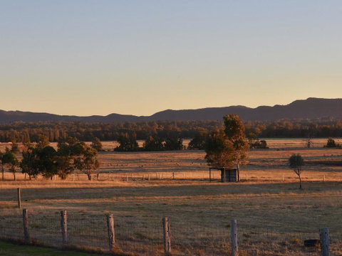 Clydesdale Cottage On Talga With Real Clydesdale Horses - Tweed Heads Accommodation 3