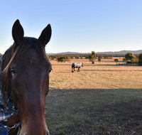 Clydesdale Cottage on Talga with real Clydesdale Horses - Tweed Heads Accommodation