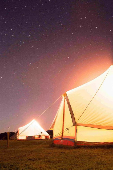 Coonawarra Bush Holiday Park - Tweed Heads Accommodation 3