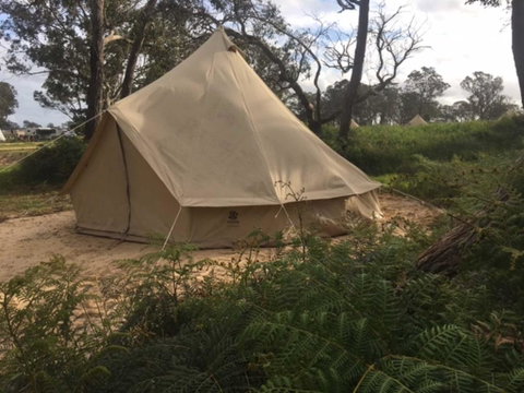 Coonawarra Bush Holiday Park - Tweed Heads Accommodation 2