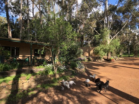 Country Cottages Of Bridgetown - Tweed Heads Accommodation 1
