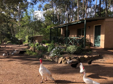 Country Cottages Of Bridgetown - Tweed Heads Accommodation 0