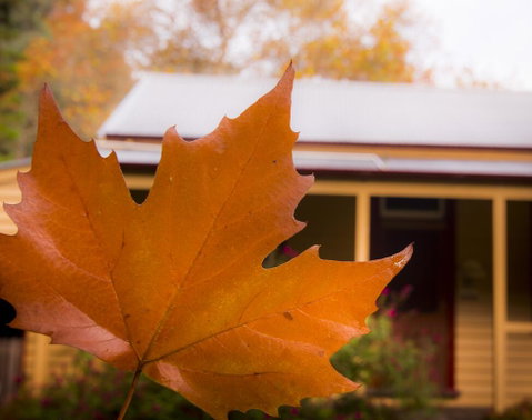 Creek Cottage - Tweed Heads Accommodation 3