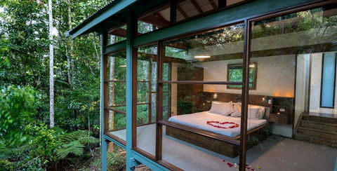 Crystal Creek Rainforest Retreat - Tweed Heads Accommodation 3