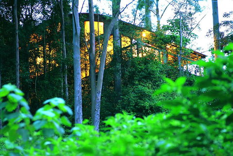 Crystal Creek Rainforest Retreat - Tweed Heads Accommodation 1