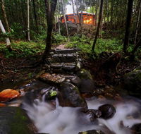 Daintree Cascades - Tweed Heads Accommodation