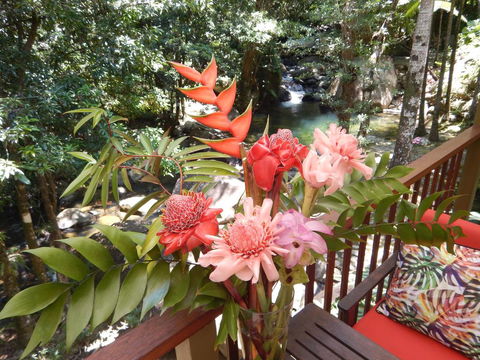 Daintree Secrets Rainforest Sanctuary - Tweed Heads Accommodation 1