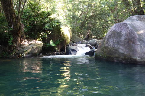 Daintree Secrets Rainforest Sanctuary - Tweed Heads Accommodation 0