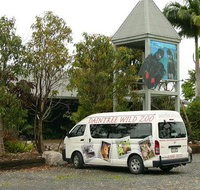 Daintree Wild Bed  Breakfast - Tweed Heads Accommodation