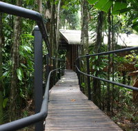 Daintree Wilderness Lodge - Tweed Heads Accommodation