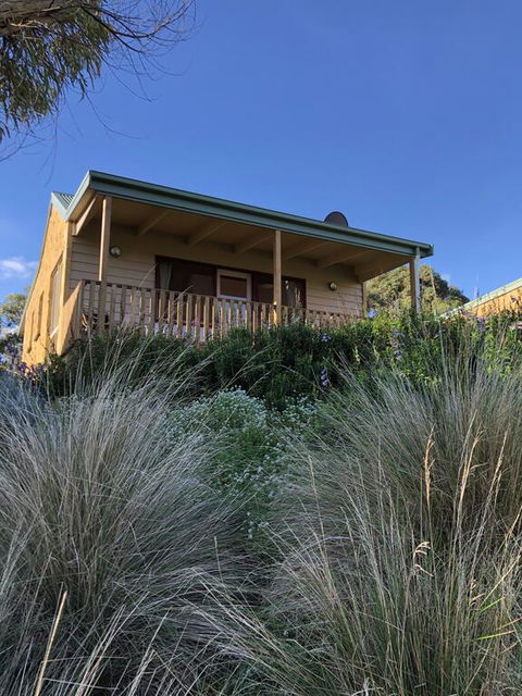 Daysy Hill Country Cottages - Tweed Heads Accommodation 3