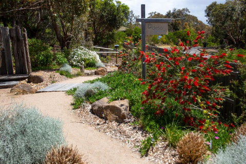 DeÅ›a Retreat Ecovillas - Tweed Heads Accommodation 3