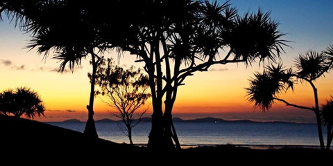 Driftwood Motel And Holiday Units - Tweed Heads Accommodation 2