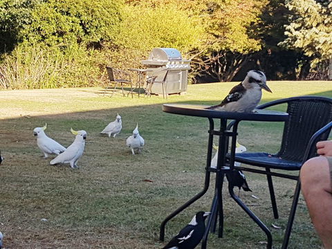 Eildon Parkview Motor Inn - Tweed Heads Accommodation 0