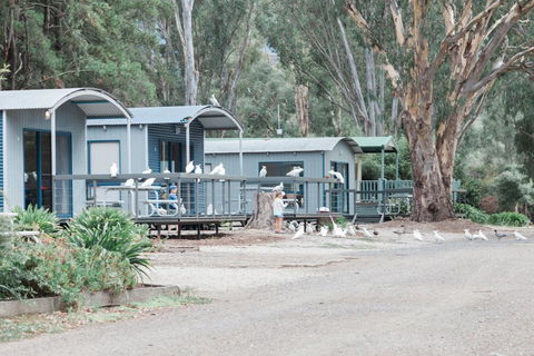 Eildon Pondage Holiday Park - Tweed Heads Accommodation 3