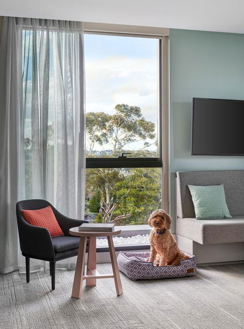 Element Melbourne Richmond - Tweed Heads Accommodation 3