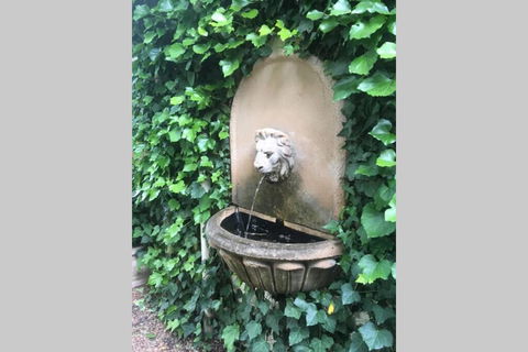 Elmswood BnB - Tweed Heads Accommodation 2