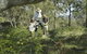 Emirates One&Only Wolgan Valley - thumb 1