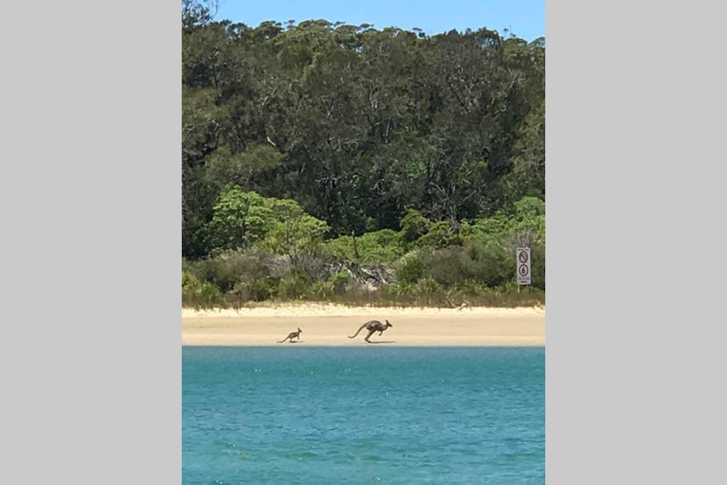 Brundee NSW Tweed Heads Accommodation
