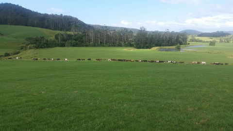 Farm Golf - Tweed Heads Accommodation 2