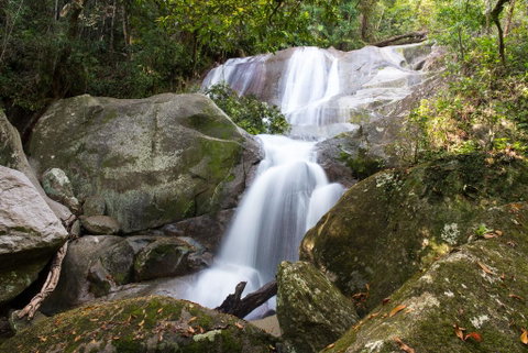 Fishery Falls Holiday Park - Tweed Heads Accommodation 3