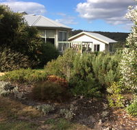 Forrest Willy Wagtail Studio - Tweed Heads Accommodation