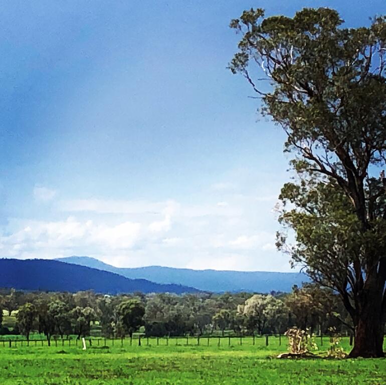 Timbumburi NSW Tweed Heads Accommodation