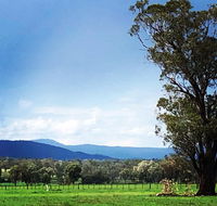 Fourjay Farmstay - Tweed Heads Accommodation