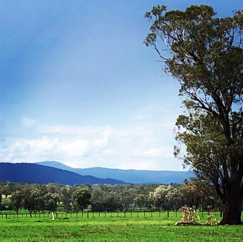 Fourjay Farmstay - Tweed Heads Accommodation 0