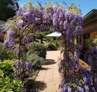 Gumtree House Montville - Tweed Heads Accommodation