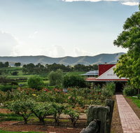 Hanging Tree Wines - Tweed Heads Accommodation