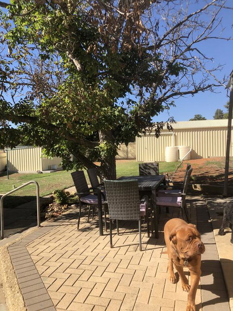 Happy Hours - Tweed Heads Accommodation 2