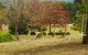 Highfield Cottage - thumb 2