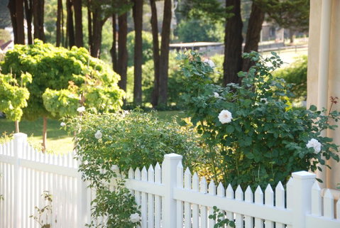 Hillside Cottage Berrima - Tweed Heads Accommodation 3