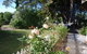 Hillside Cottage Berrima - thumb 2