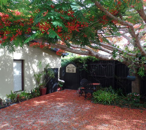 Hilltop B&B - Tweed Heads Accommodation 2