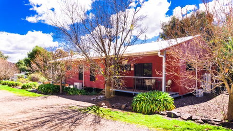 Hillview Farmstay - Tweed Heads Accommodation 3