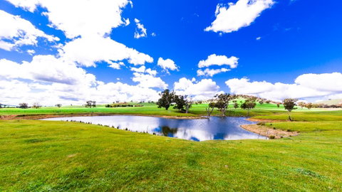 Hillview Farmstay - Tweed Heads Accommodation 0