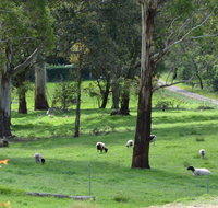 JAN'S ART STUDIO AT ASHBY RISE - Tweed Heads Accommodation