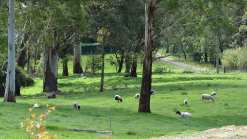 JAN'S ART STUDIO AT ASHBY RISE - Tweed Heads Accommodation 0